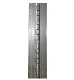 2in x 6ft Steel Hinge H200